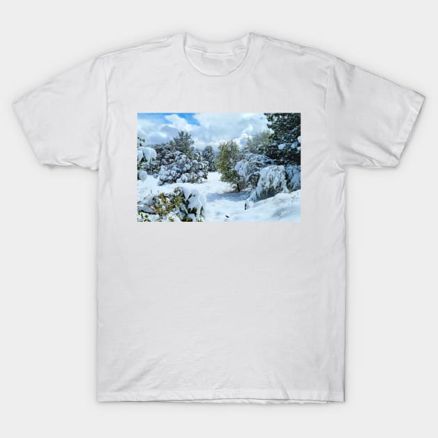 Pristine Winter Chill T-Shirt by VKPelham